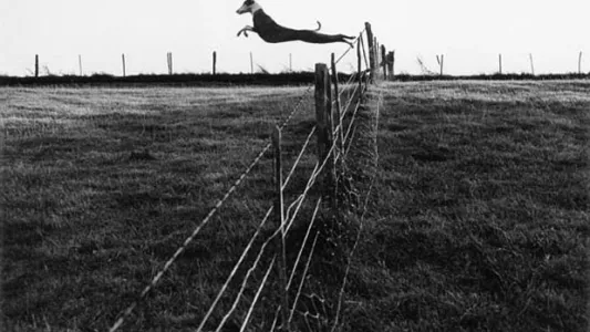Fay Godwin