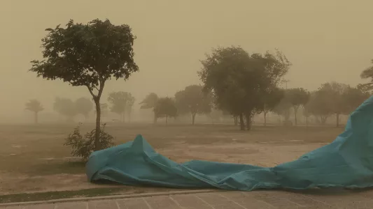 Sana Ahmadizadeh. Faded into the fog (Gilan Province, North of Iran, 2018)