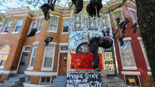 KAITLIN NEWMAN. Baltimore artist Loring Cornish created an art installation of hanging babies spray painted black in West Baltimore as a response to the police brutality to Black people in the city and across the nation.