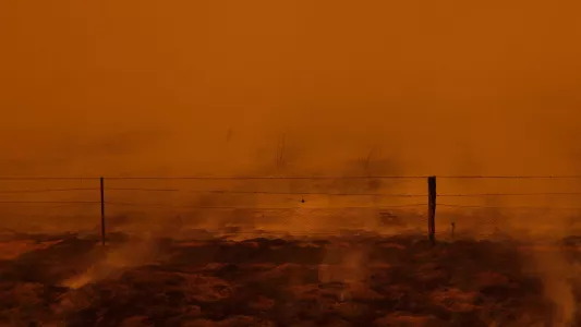 JENNIFER OSBORNE. A bushfire in rural NSW, Australia.
