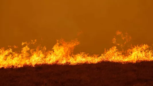 JENNIFER OSBORNE. A bushfire in rural NSW, Australia.
