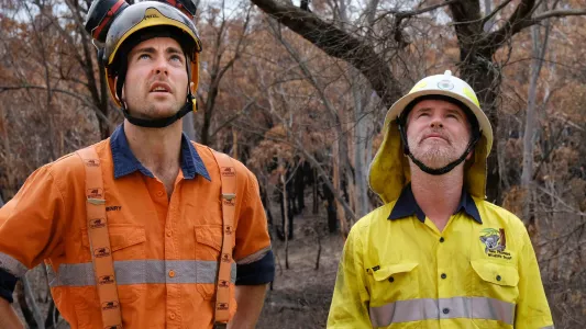 JENNIFER OSBORNE. An arborist (left) and James Fitzgerald of Two Thumbs Wildlife Trust stand to assess a koala rescue.