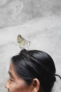 Luvia Lazo