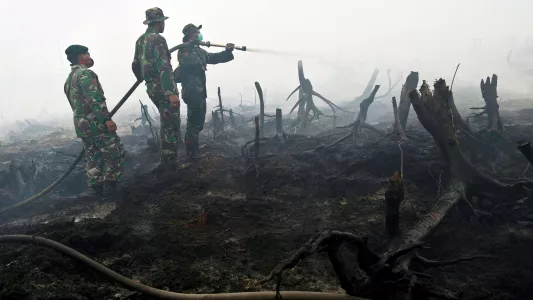 Sandra hoyn, A team of forest fire fighters supported by military personnel in the process of controlling a forest spot fire in the Riau Province.