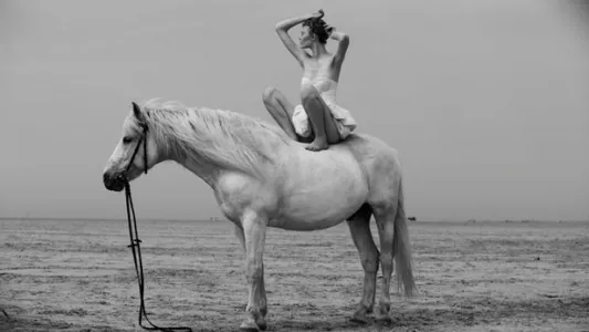 ESTHER HAASE