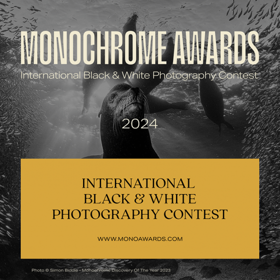 Monochrome Photography Awards