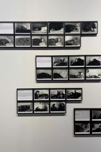 Sophie Calle, The Sleepers. Represented by Paula Cooper Gallery.