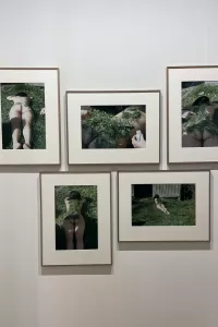 Ana Mendieta. Untitled (Grass on Woman) represented by Prats Nogueras Blanchard.