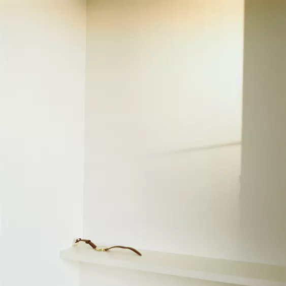 Lydia Goldblatt. Spent Time.