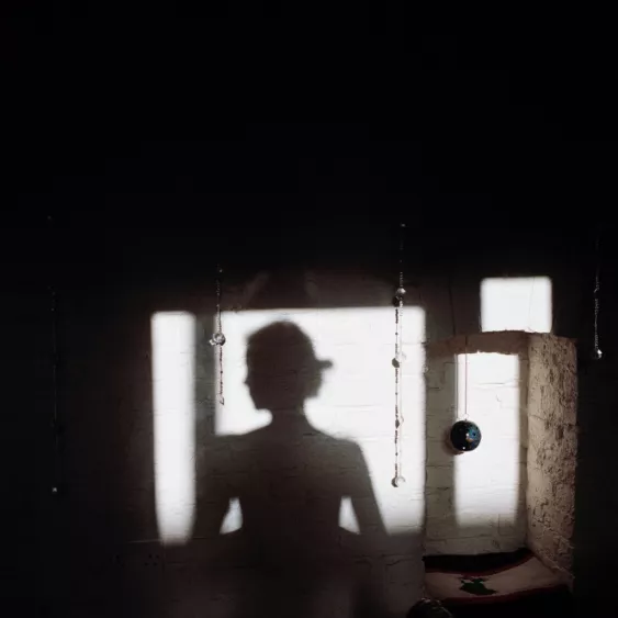 Lydia Goldblatt. Narcissus.