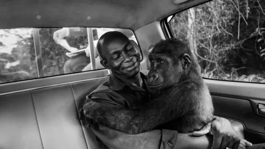 Jo-Anne McArthur